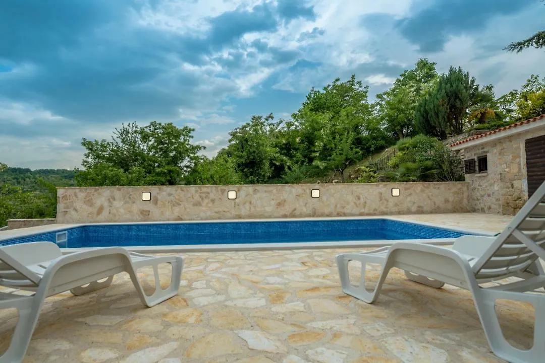 Holiday Home Vizinada Villa