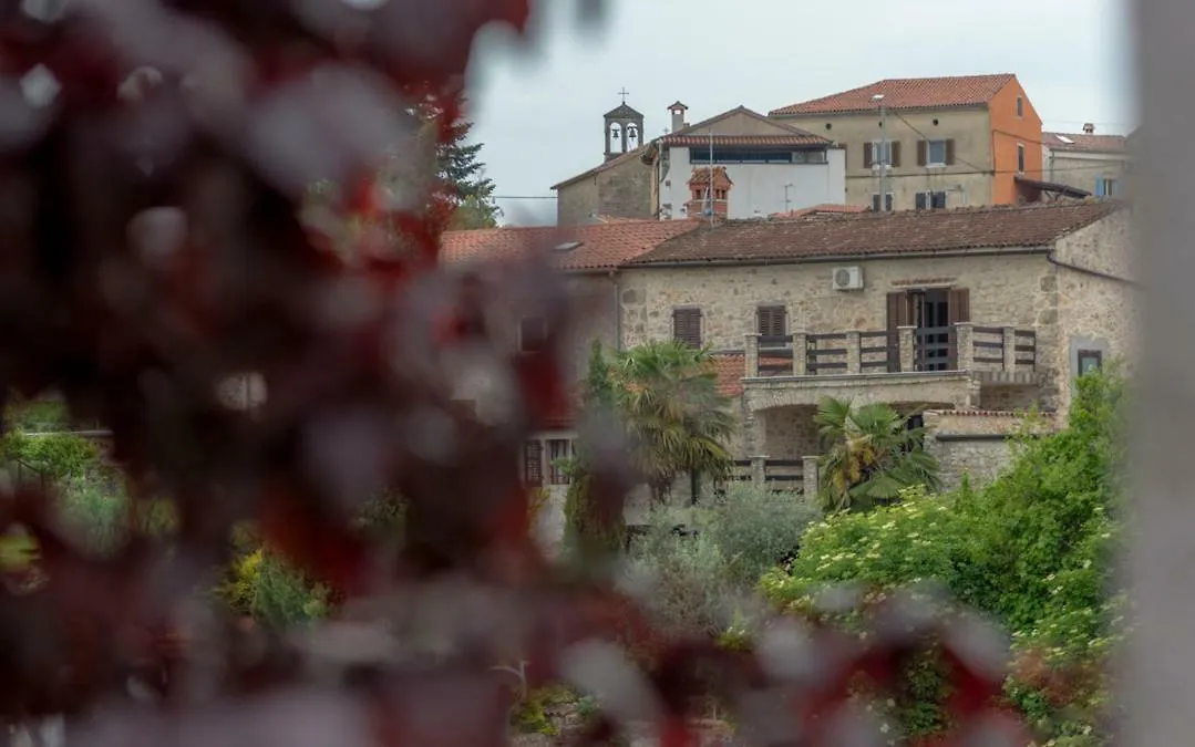 Villa Holiday Home Vizinada