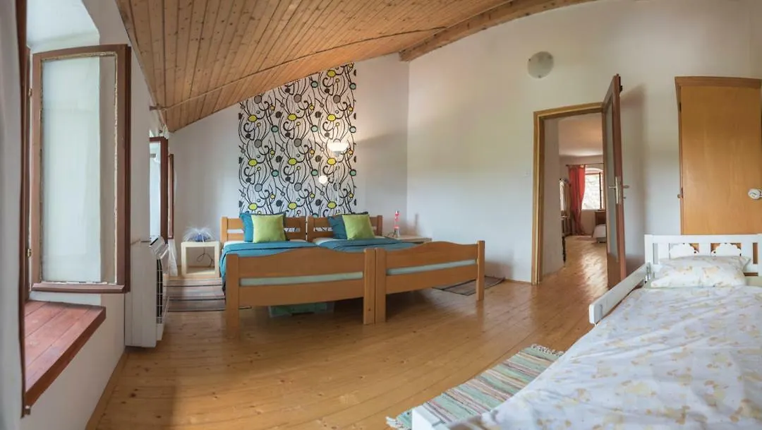 Villa Holiday Home Vizinada