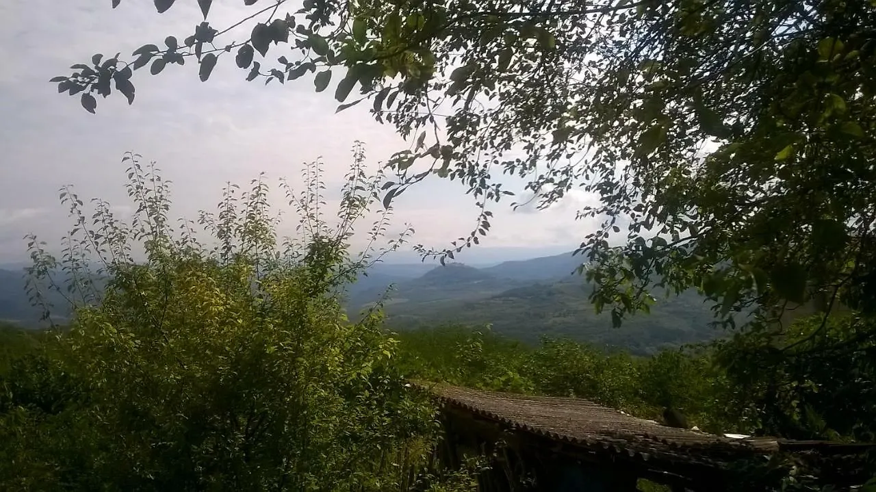 Holiday Home Vizinada Villa